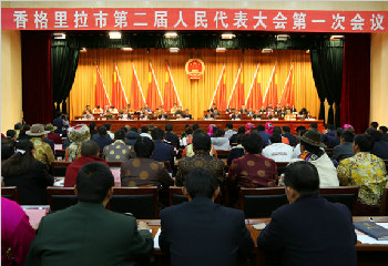 ��־�鵱ѡ��������ж����˴�ί������